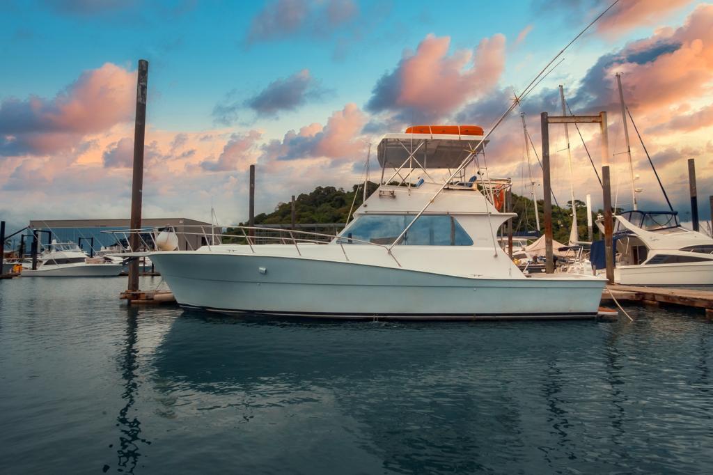 Read more about the article PACIFICO Viking 41