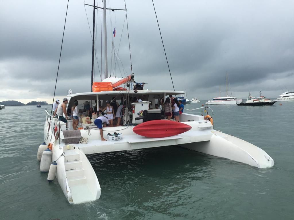 Read more about the article PACIFICO SUN CAT 59′