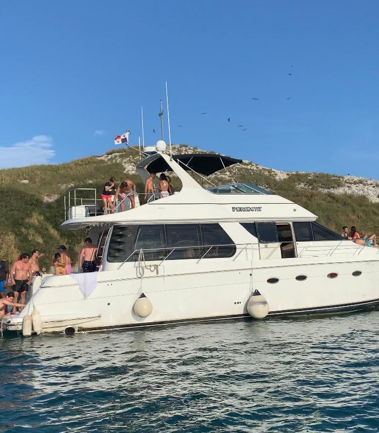 Read more about the article PACIFICO CARVER 54′