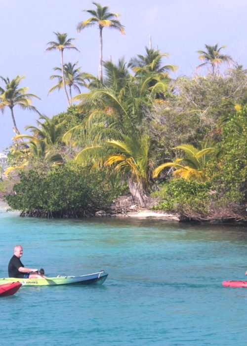 3 Kayaks