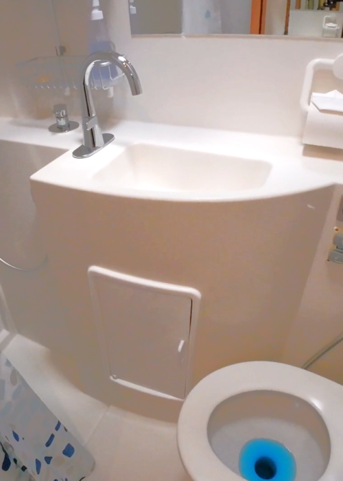 Bathroom with Separate Shower