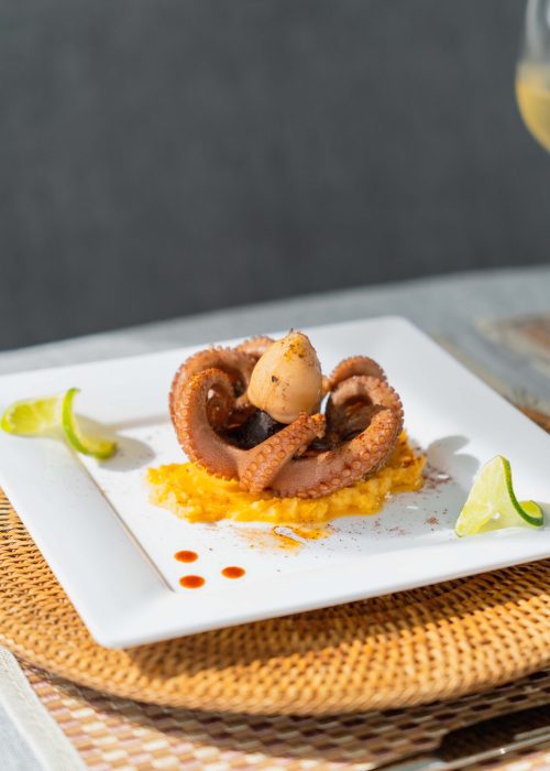 Creador de contenido audiovisual