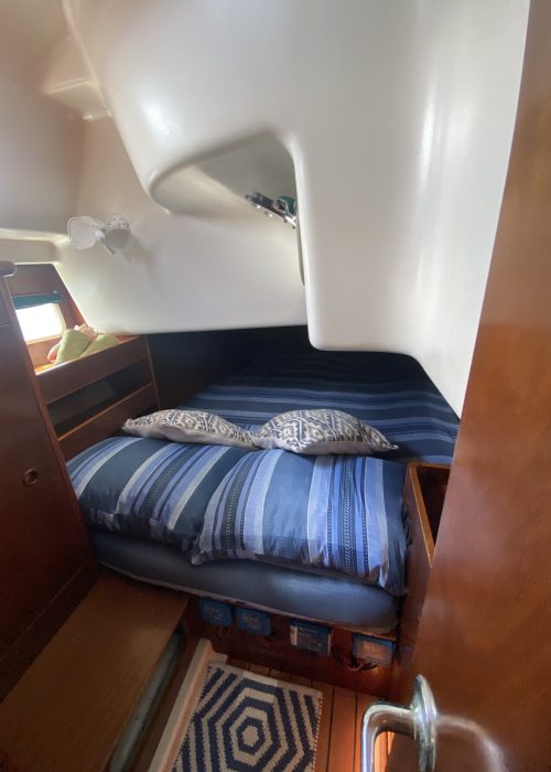 IMG_9493 4