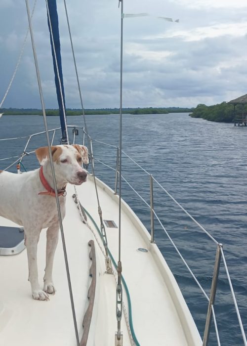 Imagen de WhatsApp 2025-02-26 a las 21.58.08_be4eeb0f