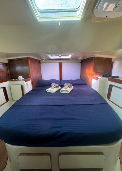 Imagen de WhatsApp 2025-02-26 a las 21.58.09_9a030d65