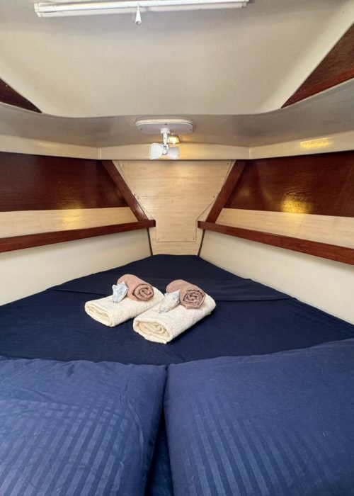 Imagen de WhatsApp 2025-02-26 a las 21.58.09_b0fdd677