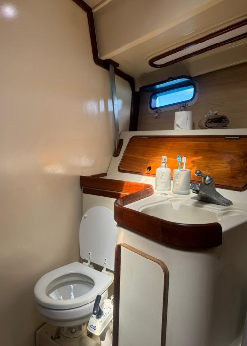 Imagen de WhatsApp 2025-02-26 a las 21.58.10_dad21350