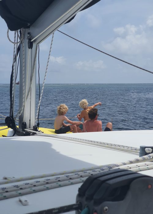 Imagen de WhatsApp 2025-03-17 a las 19.36.14_7ca3217c