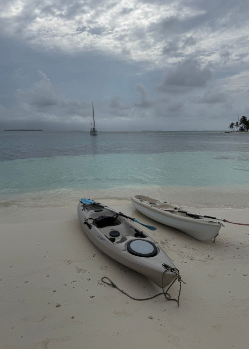 Imagen de WhatsApp 2025-03-25 a las 21.02.44_7dc4b8f3