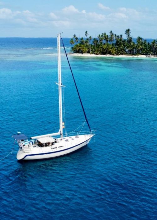 Imagen de WhatsApp 2025-03-29 a las 17.16.39_947433e3