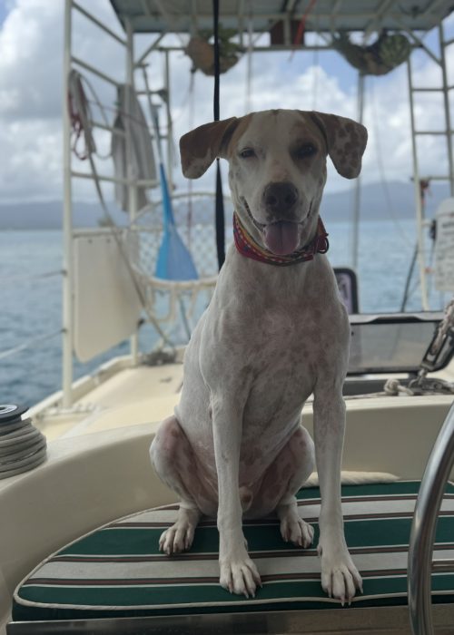 Imagen de WhatsApp 2025-03-29 a las 17.16.40_a58670fb