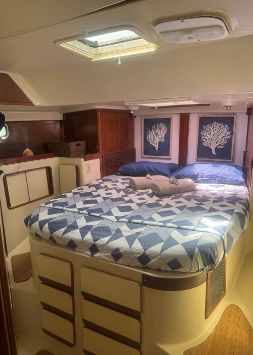 Imagen de WhatsApp 2025-03-29 a las 17.16.45_02c1b16d