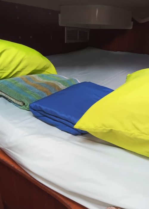 WhatsApp Image 2024-01-21 at 12.26.50 (1)