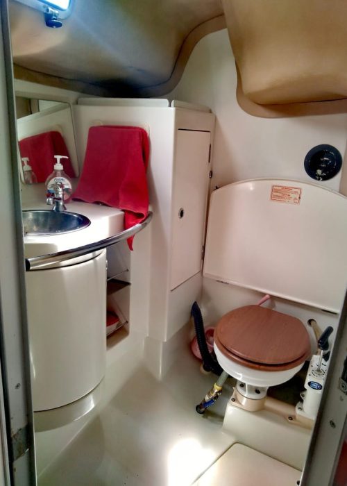 WhatsApp Image 2024-01-21 at 12.32.46