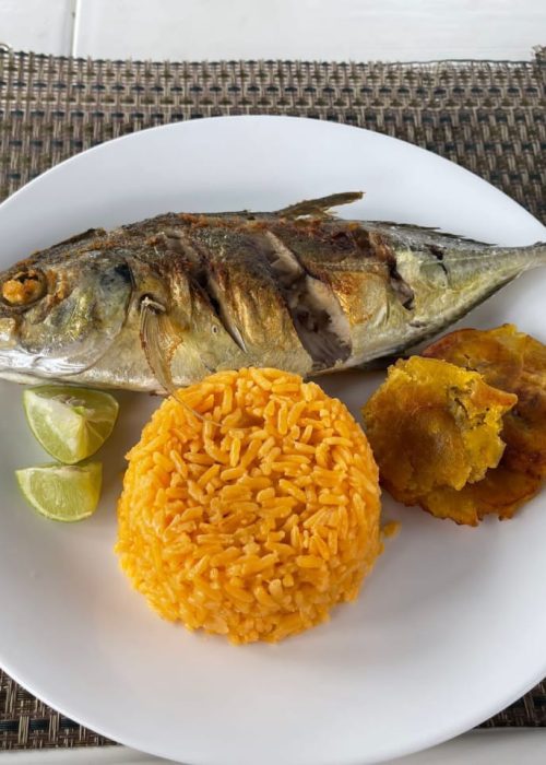 WhatsApp Image 2024-01-21 at 12.57.30