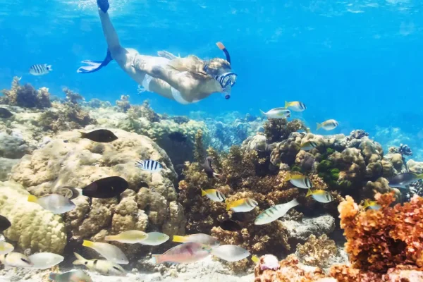 tour 2 días San Blas Panama