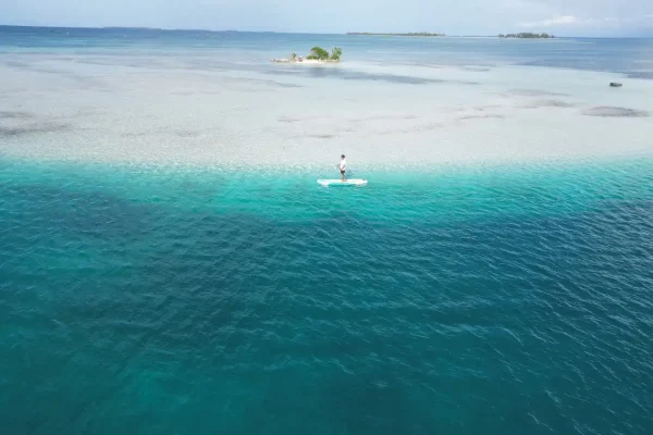 WhatsApp Image 2025-11-10 at 18.07.14