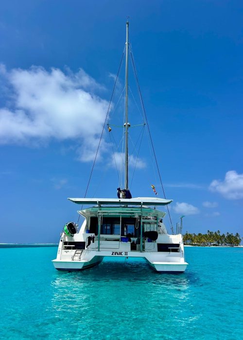 c58c702e-8744-411e-a33e-d330e1690aa9