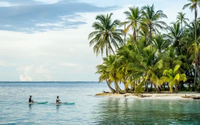 paddle y kayak