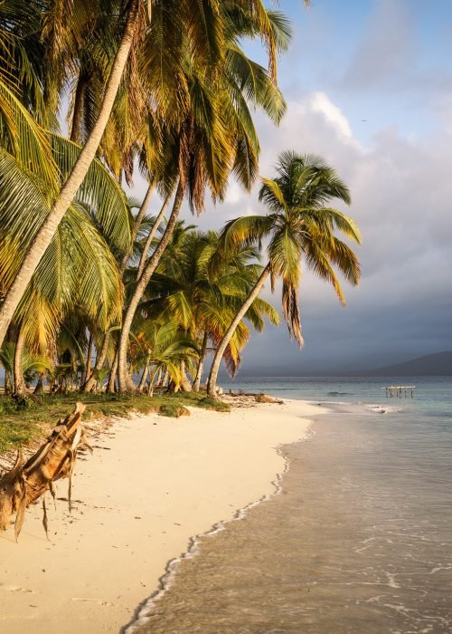 palm-beach