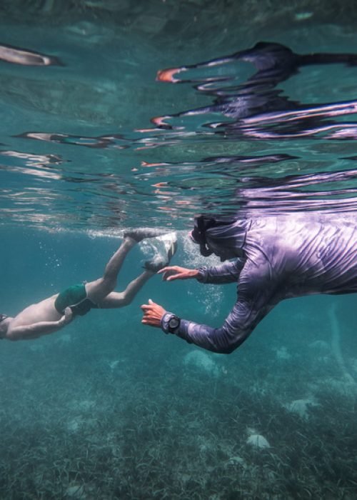 underwater-freedive